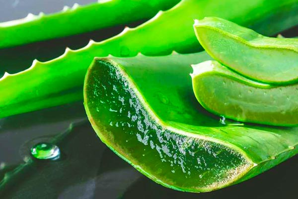 Properties of aloe vera gel for skin and hair health