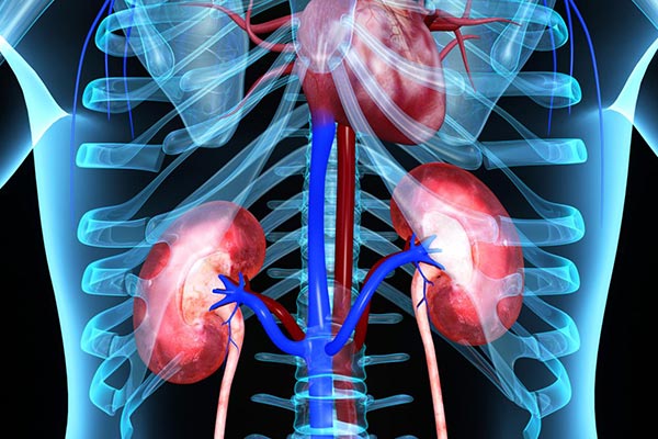 Potassium-and-kidney-disease