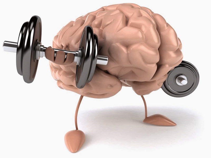 افزایش قدرت یادگیری مغز با ورزش
